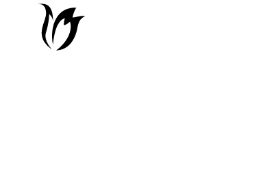 Niagara Tulips fresh cut greenhouse